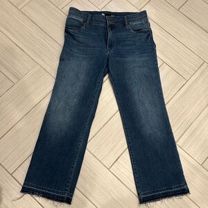 Kut from the Kloth Kelsey High Rise flare
